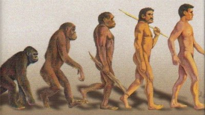 Évolution humain du primate à homo sapiens