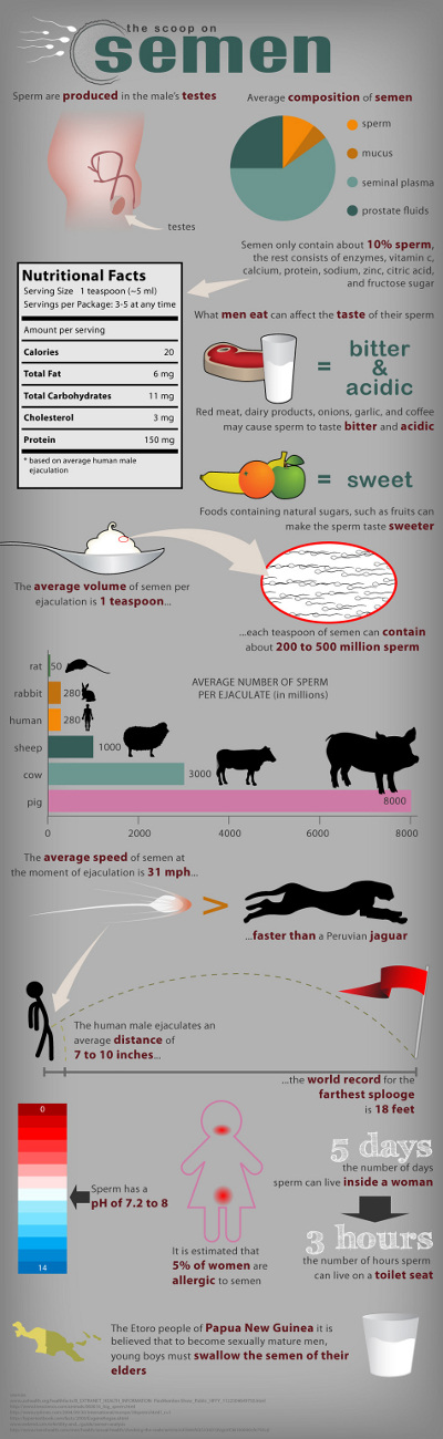 Sperme : composition, informations nutritionnelles et nombre de spermatozoïdes par éjaculat selon les animaux